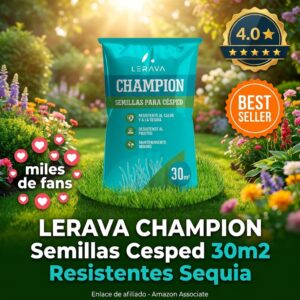 Semillas césped LERAVA CHAMPION resistentes a la sequía