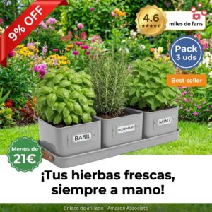 Set de tres macetas de hierbas con bandeja