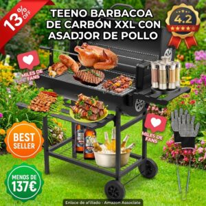 Barbacoa de carbón TEENO con parrilla XXL